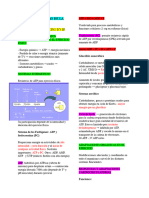 Psicología y Bases-5-14