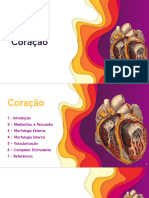 Slides Coração