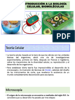 1.2. Tipos de Celulas