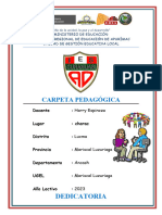 Carpeta Pedagogica