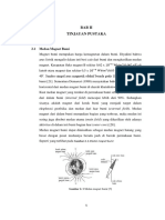 Bab Ii Tinjauan Pustaka: 2.1 Medan Magnet Bumi