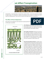 Factors That Affect Transpiration