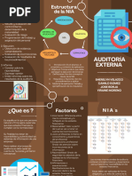 Folleto de Auditoría Externa