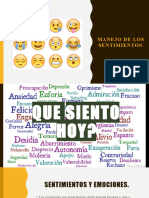 Manejo de Los Sentimientos