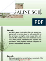 Saline