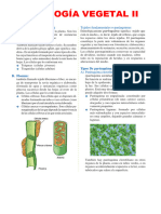 30 Histologia Vegetal II