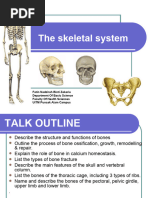 Skeletal System