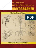 Anatomical Guide For Electromyographer