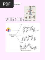 Saltos y Giros