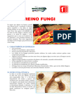 1°sec-Reino Fungi y Protista