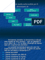 4 Adaptarea Plantelor La Diverse Conditii de Mediu