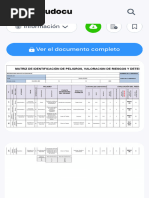 Matriz para Identificación de Peligros, Valoración de Riesgos y Determinación de Controles - Studocu