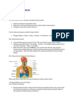 Theory Sistem Respirasi