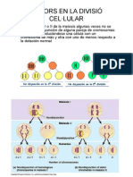 Errores en La Division Celular
