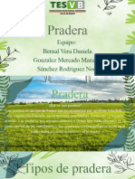 Presentación Plantas Natural Verde y Negro