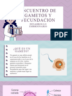 Encuentro de Gametos y Fecundacion - Romero