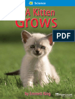 A Kitten Grows