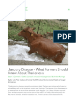 January Disease - What Farmers Should Know About Theileriosis