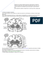 It Is Particularly Important in Addiction.: Motor Learning