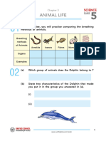 Chapter-3 STEPUP SCIENCE CLASS 5 QP