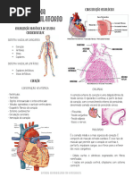 Sistema Circulatório