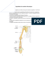 2-La Clavicule