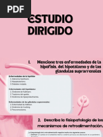 Estudio Dirigido Grupo 4