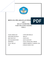 RPP Tema 3