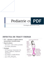 Pediatrie Curs 9 Renal