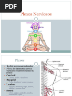 Plexos Nerviosos