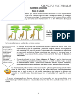 Teorías de Evolución