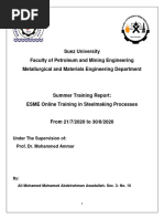 Ali Mohamed Awadallah Training Report