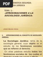 Aproximaciones A La Sociologia Juridica