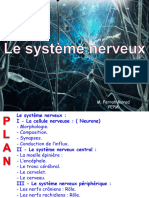 Le Système Nerveux