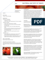 Bacterial Leaf Spot Fact Sheet - English 1a4aw7c