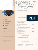 CV Professionnel Simple NKEC