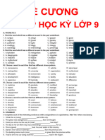 Đề Cương Học Kỳ - L9