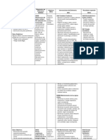 Plan de Cuidados (2 Diagnosticos)