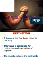 Muscle Tissue