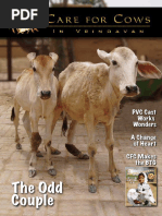 Care For Cows - News - 2006-07