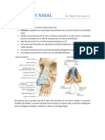 03 Fractura Nasal DR Henriquez