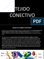 Tejido Conectivo o Conjuntivo 2