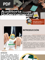 Auditoria Gubernamental