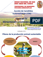 Producción de Camélidos Sudamericanos (CSA) : Unidad IV