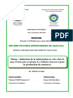 Thème: Induction de La Tubérisation in Vitro Chez Le Taro (Colocasia Esculenta (L.) Schott (Aracees) ) Pour La Production de Semences