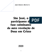 Sao Jose o Participante Fase Culminante Auto Revelacao