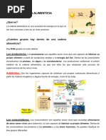 PDF Documento