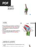 Knee Joint