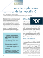 Marcadores de Replicación Del Virus de La Hepatitis C: Revisión Técnica Diagnóstica