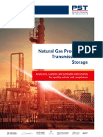 Natural Gas Processing, Transmission and Storage - 54024E - PST - Natural - Gas